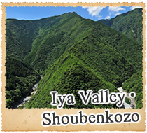 Iya Valley Shoubenkozo