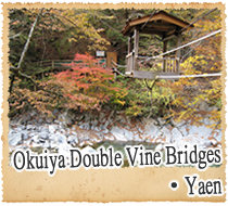 Okuiya Double Vine Bridges Yaen