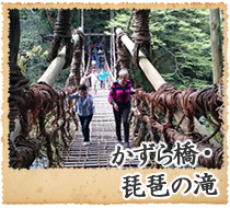 かずら橋・琵琶の滝