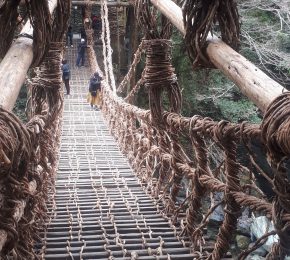 祖谷のかずら橋、架け替え工事終了