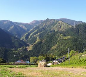 昨日の大歩危の山